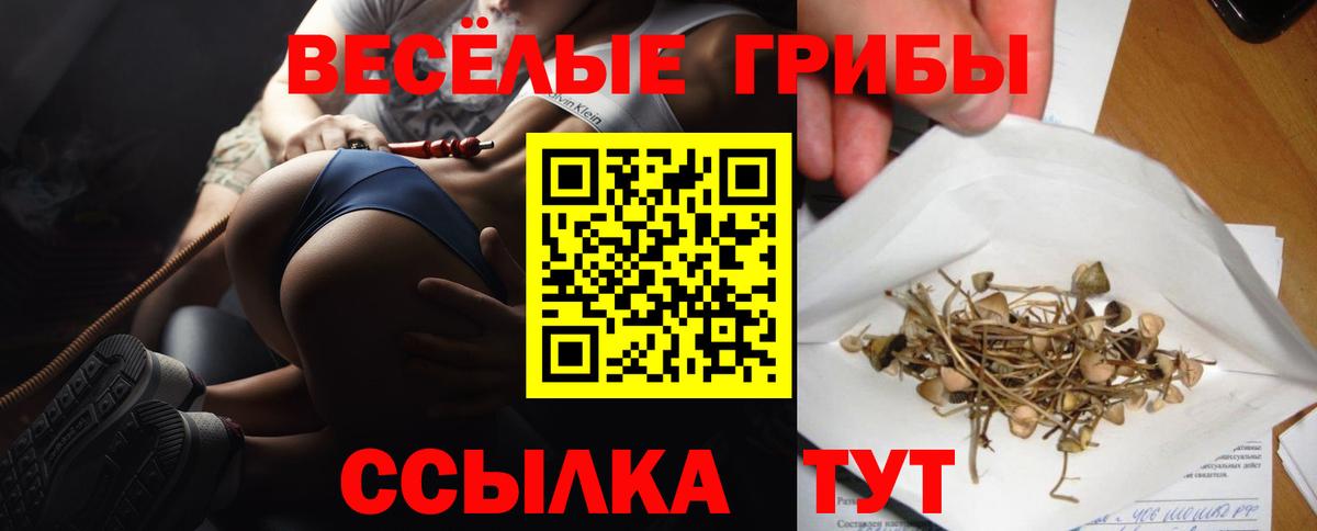 Галлюциногенные грибы GOLDEN TEACHER  Вход с VPN  Тихорецк  Галлюциногенные грибы Cubensis 