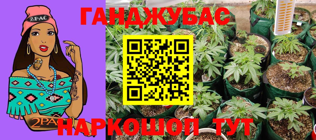 МАРИХУАНА гибрид  Каннабис Bruce Banner  Тихорецк  Вход с VPN  Канабис ГИДРОПОН  Каннабис AK-47 
